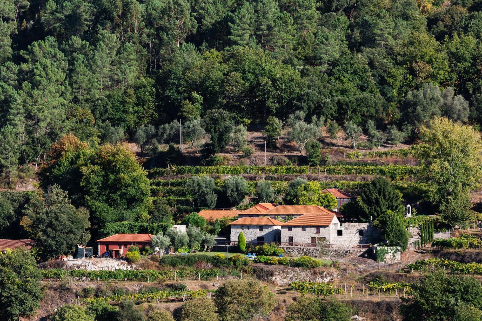 아마란테 Quinta Da Pousadela - Agroturismo 게스트하우스 외부 사진